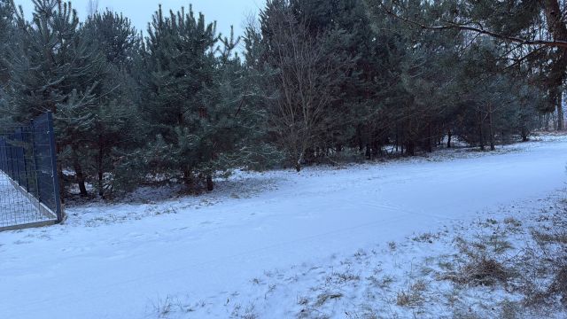 Działka budowlana Czerna. Zdjęcie 4