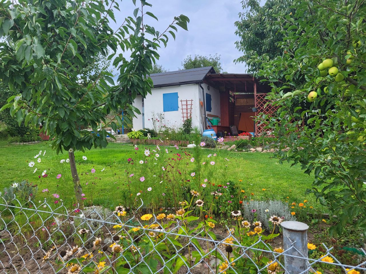 Działka rod Szczecin. Zdjęcie 3