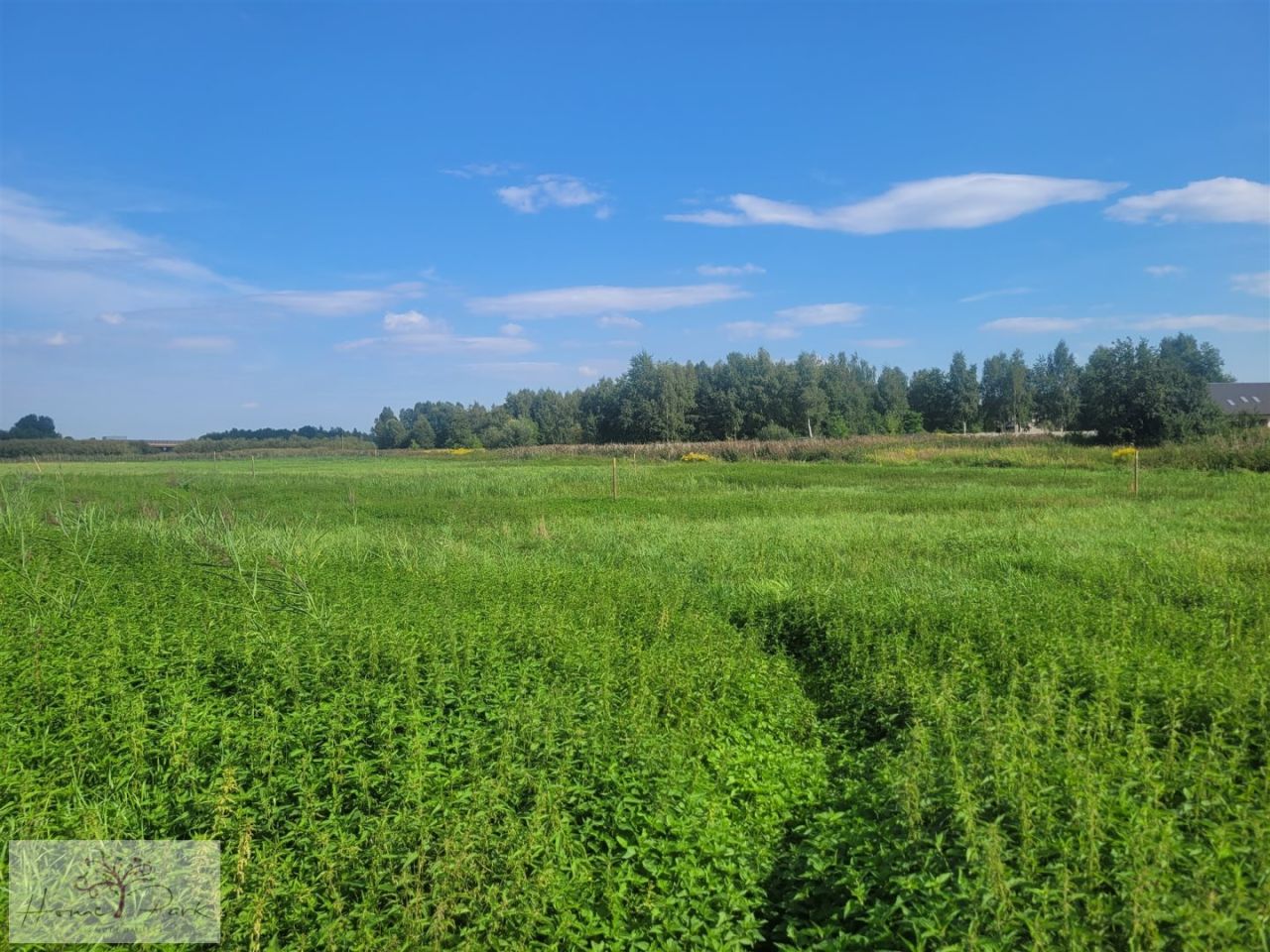 Działka budowlana Konstantynów Łódzki. Zdjęcie 2