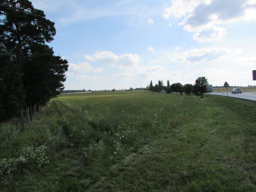 Działka inwestycyjna Nowogród Bobrzański. Zdjęcie 2