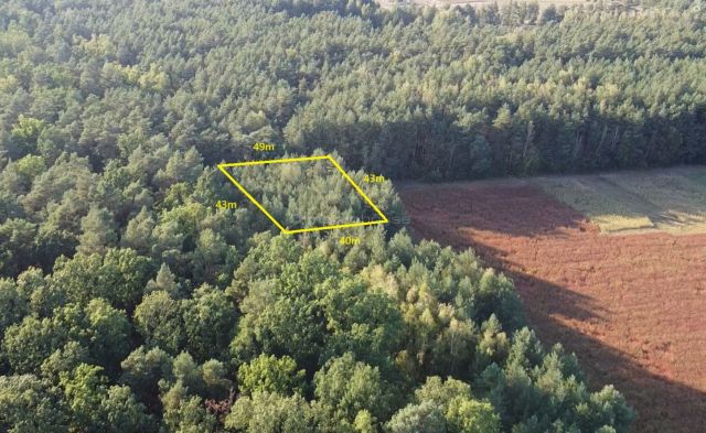 Działka budowlana Zalesie Borowe. Zdjęcie 2