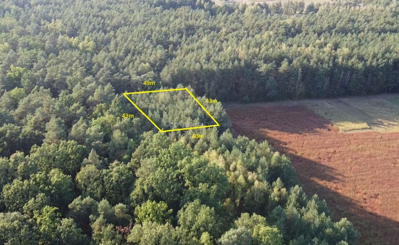 Działka budowlana Zalesie Borowe. Zdjęcie 2