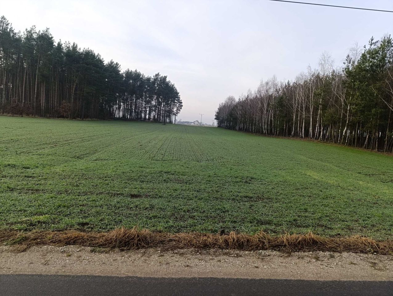 Działka rolno-budowlana Wętfie. Zdjęcie 6