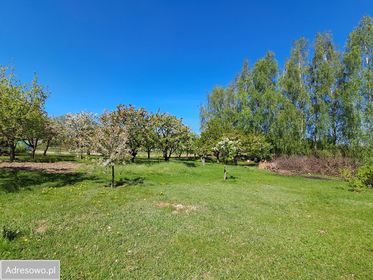 Działka budowlana Bogucin. Zdjęcie 6