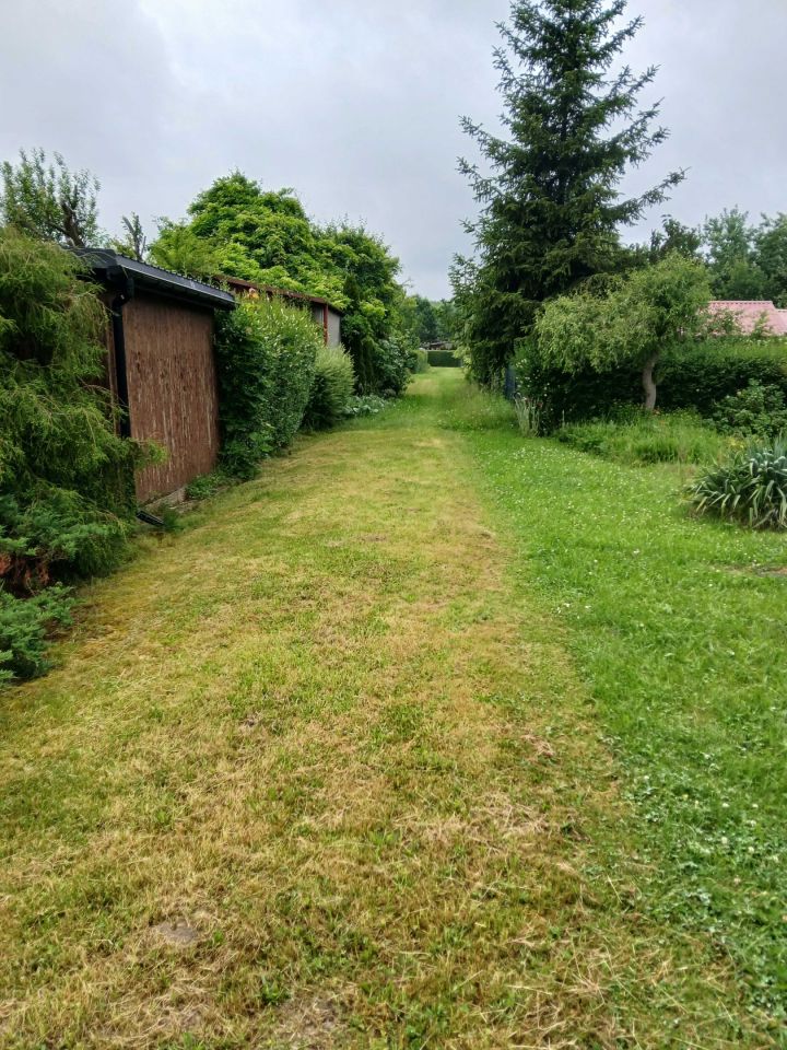 Działka rod Wrzosowa. Zdjęcie 4