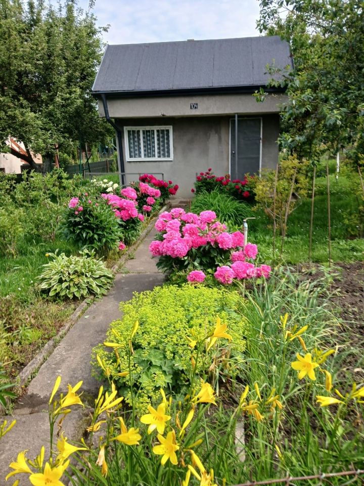 Działka rod Lubin, ul. Legnicka. Zdjęcie 7