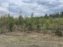 Działka leśna Kodeń Kodeń Drugi. Zdjęcie 2