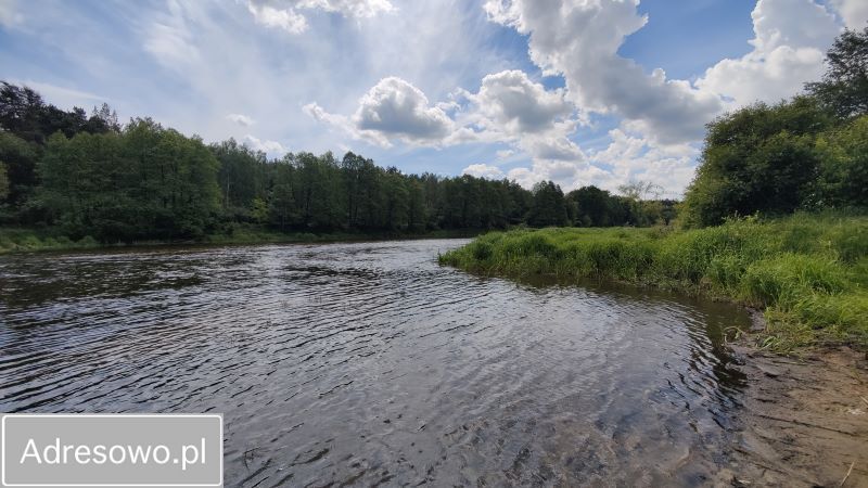 Działka leśna Łęg. Zdjęcie 7