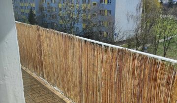 Mieszkanie 3-pokojowe Ciechanów Aleksandrówka, ul. Batalionów Chłopskich