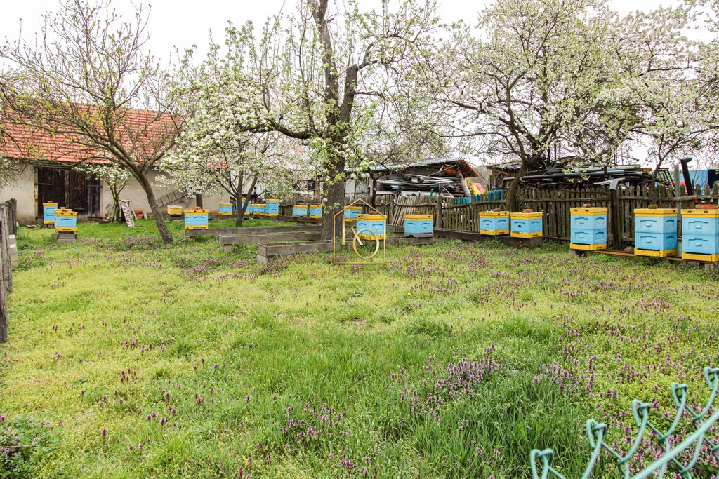 dom wolnostojący, 5 pokoi Jemielno. Zdjęcie 18