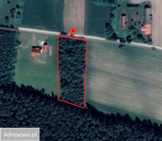 Działka budowlana Orzechówka. Zdjęcie 1