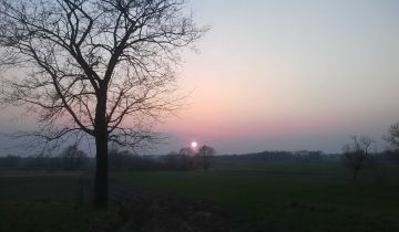 Działka rolno-budowlana Haliczany