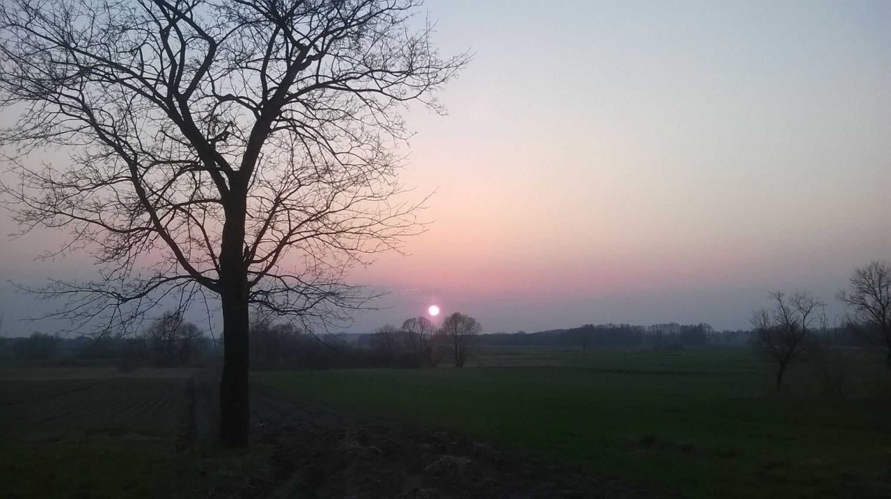 Działka rolno-budowlana Haliczany. Zdjęcie 2