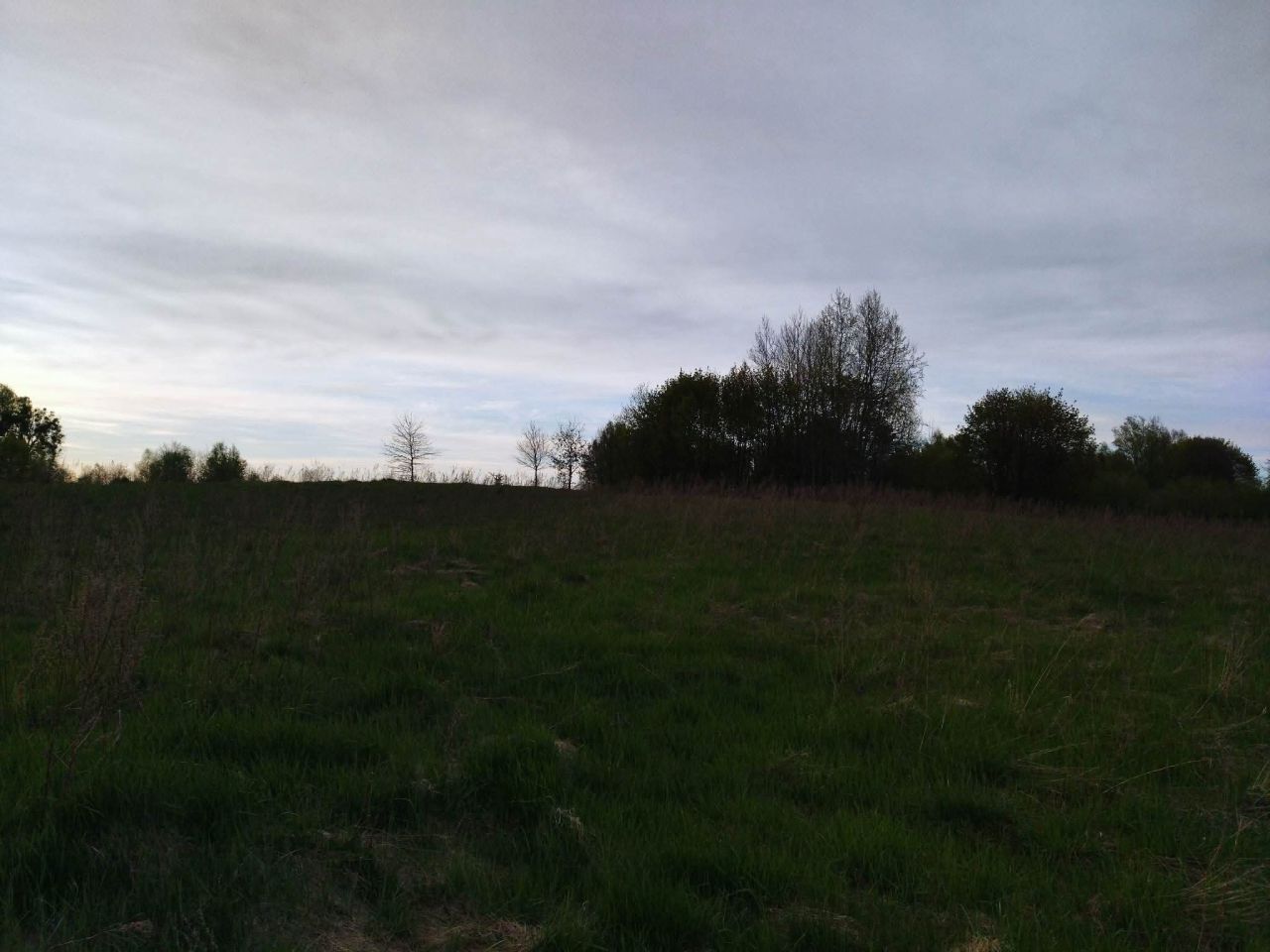 Działka budowlana Lesiska. Zdjęcie 12