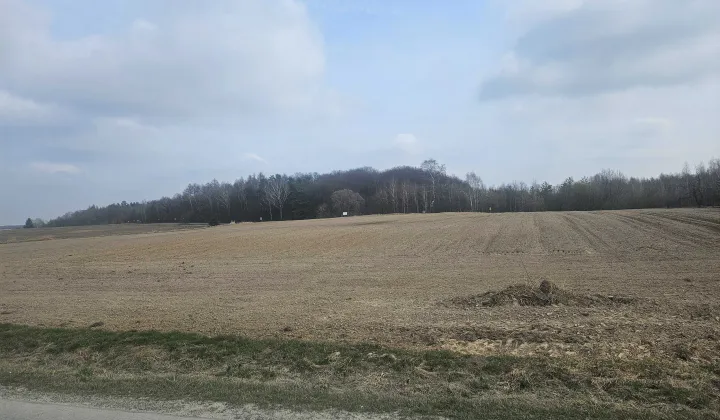 Działka budowlana Wieprzowe Jezioro