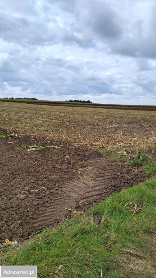 Działka rolna Czacz. Zdjęcie 3