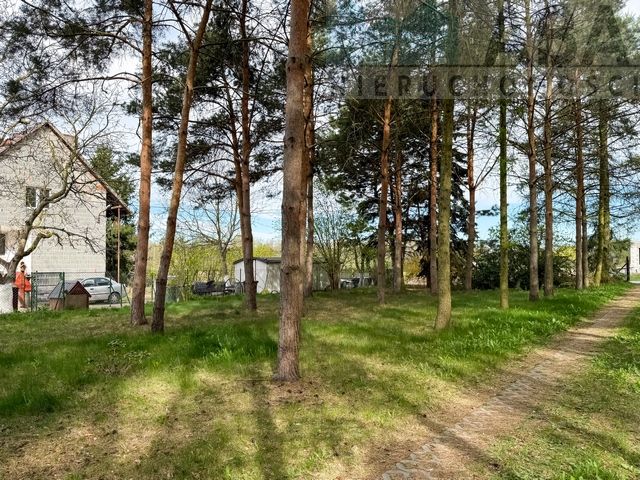 dom wolnostojący, 2 pokoje Świętne. Zdjęcie 1