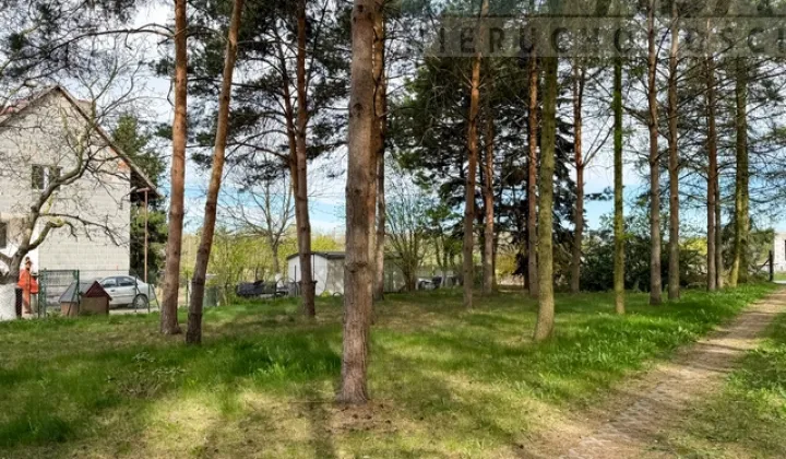 dom wolnostojący, 2 pokoje Świętne