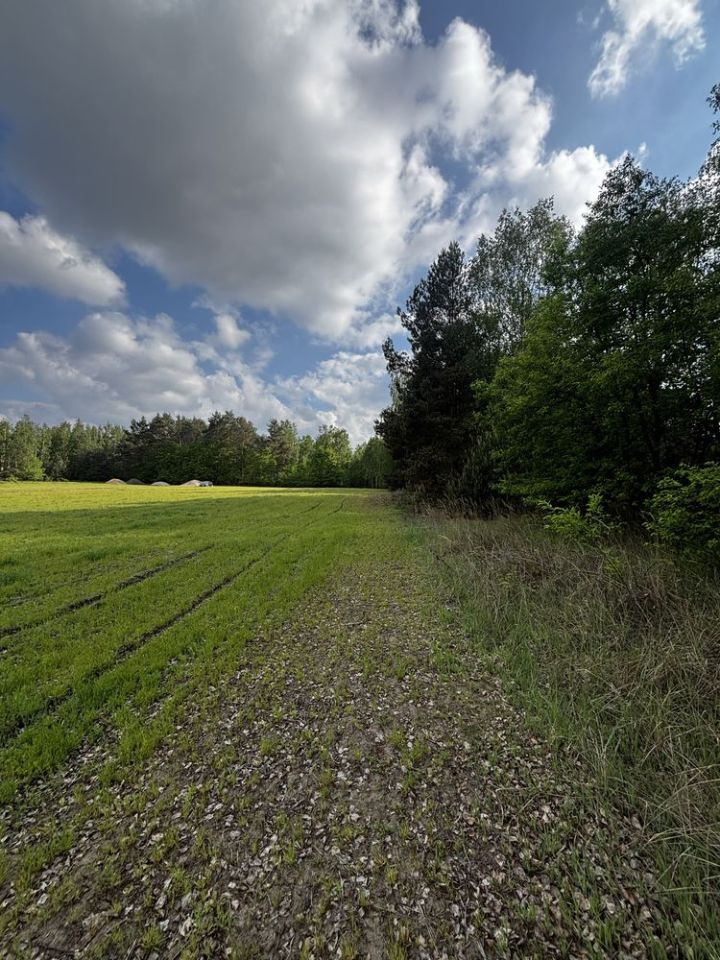 Działka rolno-budowlana Grabice. Zdjęcie 3