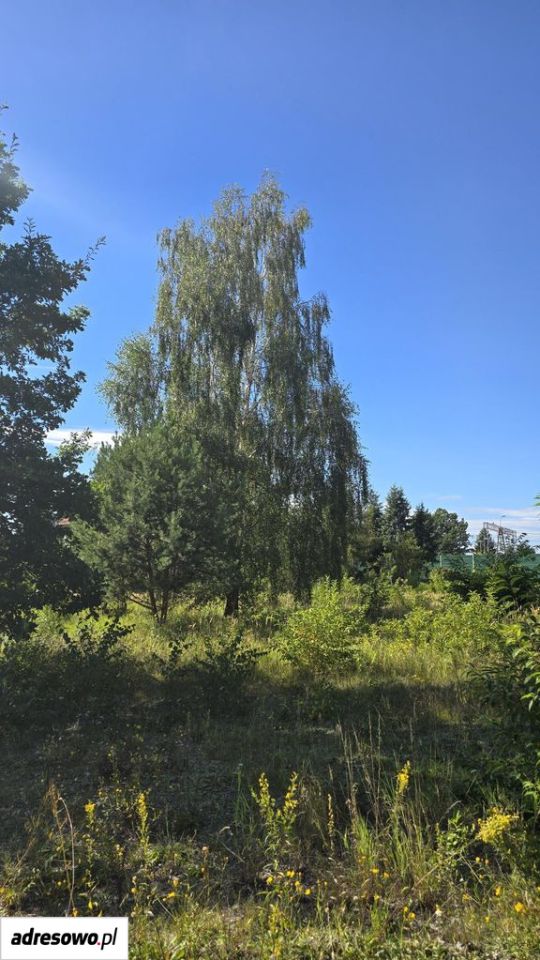 Działka budowlana Brwinów, ul. Graniczna. Zdjęcie 3