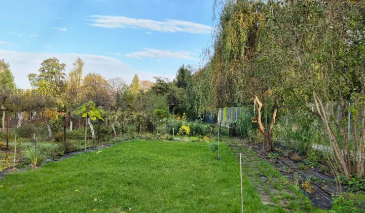 Działka rod Wrocław, ul. Ślężna