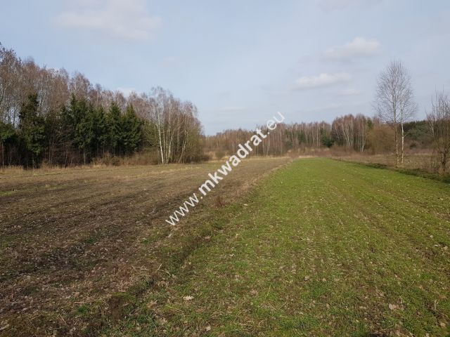 Działka rolna Borszyce. Zdjęcie 3