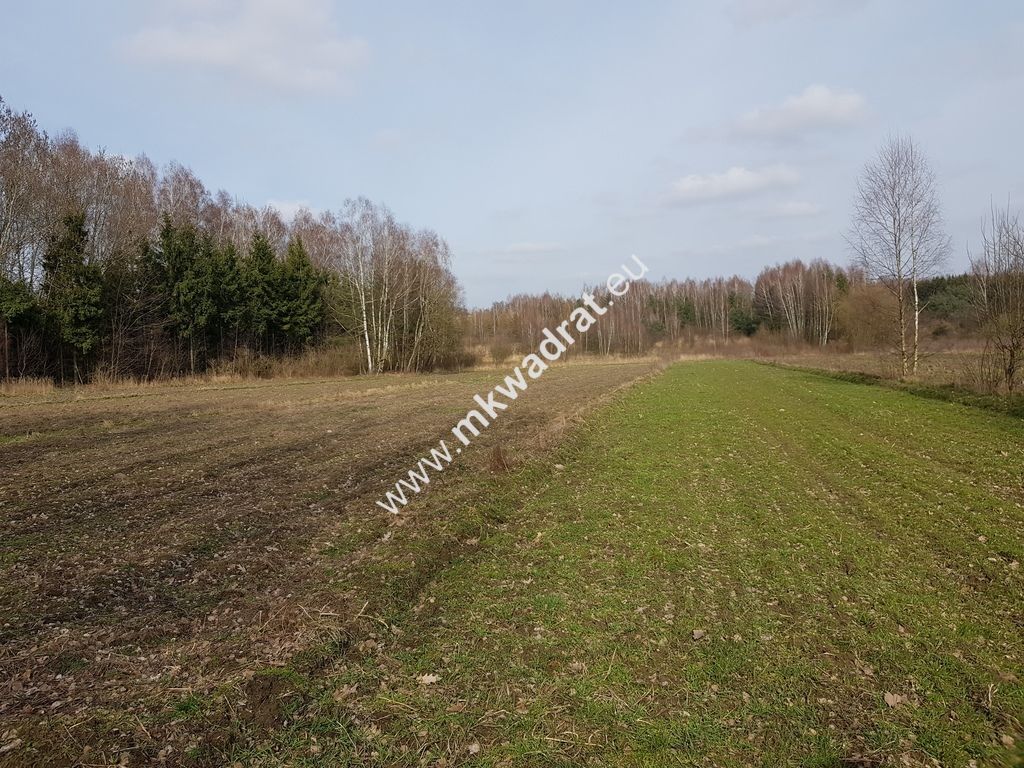 Działka rolna Borszyce. Zdjęcie 3