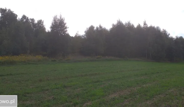 Działka budowlana Stare Skoszewy, ul. Źródlana