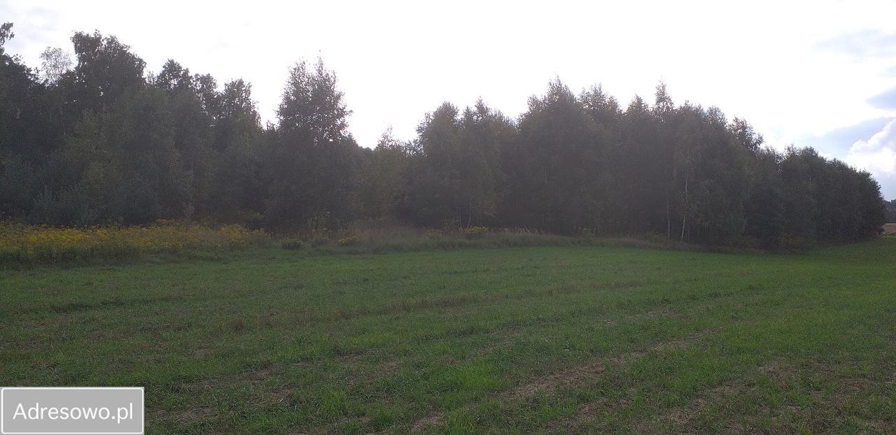 Działka budowlana Stare Skoszewy, ul. Źródlana. Zdjęcie 1