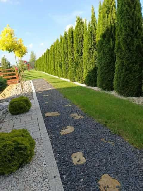 Działka siedliskowa Konstantów. Zdjęcie 7