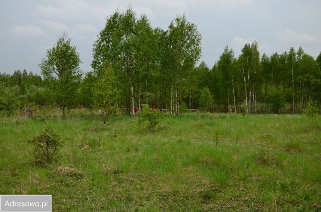 Działka budowlana Lasowiec. Zdjęcie 1