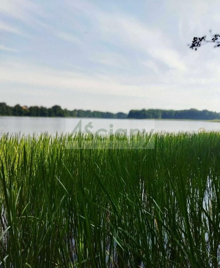 Działka budowlana Dobki. Zdjęcie 8