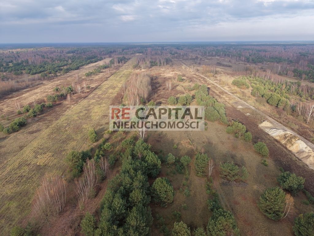 Działka rolna Zalesie. Zdjęcie 2