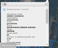 Działka leśna Oronne. Zdjęcie 1