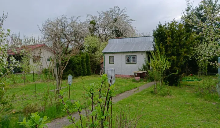 Działka rod Szprotawa