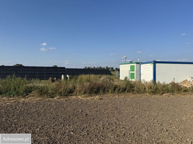 Działka rolno-budowlana Jedlno Drugie. Zdjęcie 3