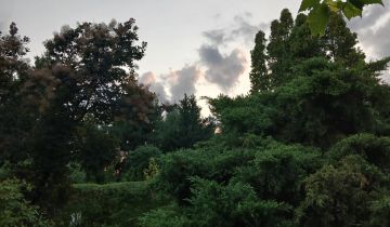 Działka rod Stefanowo, ul. Ułanów