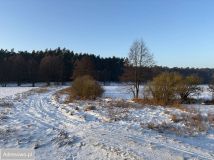 Działka rekreacyjna Dębówiec. Zdjęcie 1