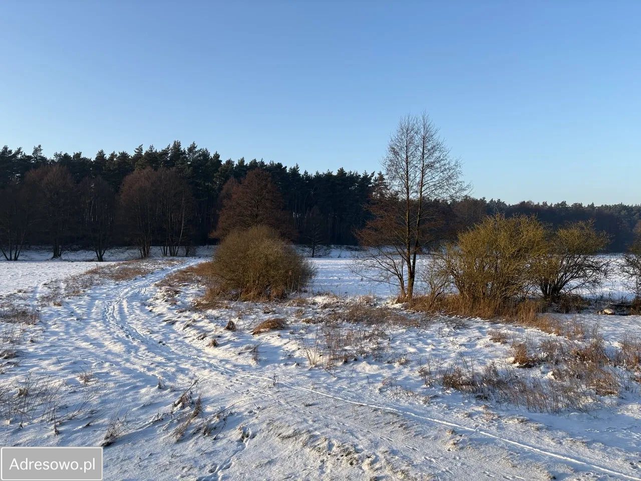 Działka rekreacyjna Dębówiec. Zdjęcie 2