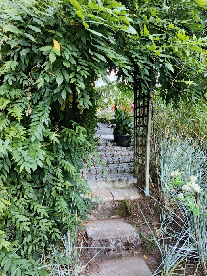 Działka rod Olsztyn, Kapitańska. Zdjęcie 2