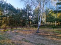 Działka rekreacyjna Chorzeszów, Brak. Zdjęcie 1