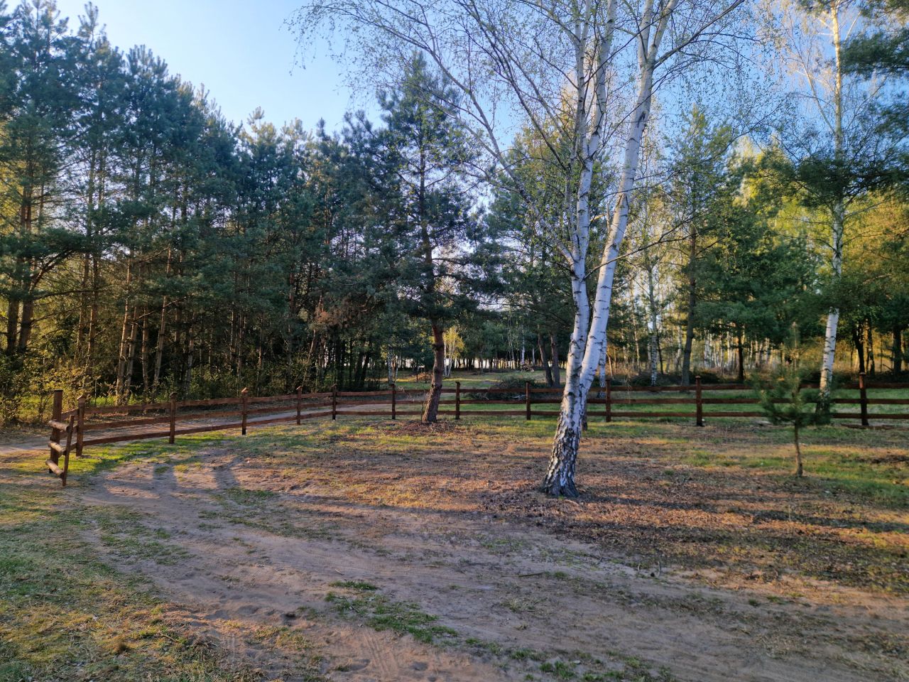 Działka rekreacyjna Chorzeszów, Brak. Zdjęcie 2