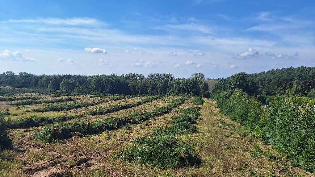 Działka budowlana Steklinko. Zdjęcie 6