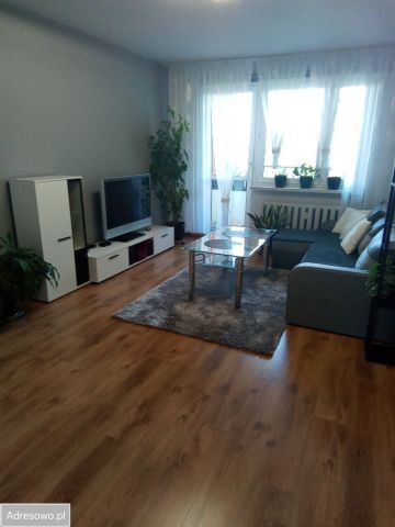 Mieszkanie 2-pokojowe Mikołów, ul. rtm. Witolda Pileckiego. Zdjęcie 1