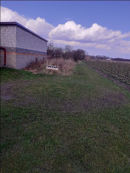 Działka siedliskowa Zalesie. Zdjęcie 5