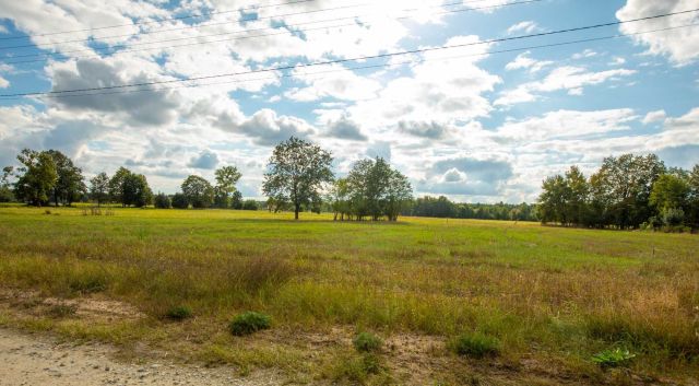 Działka rolno-budowlana Lasek. Zdjęcie 1