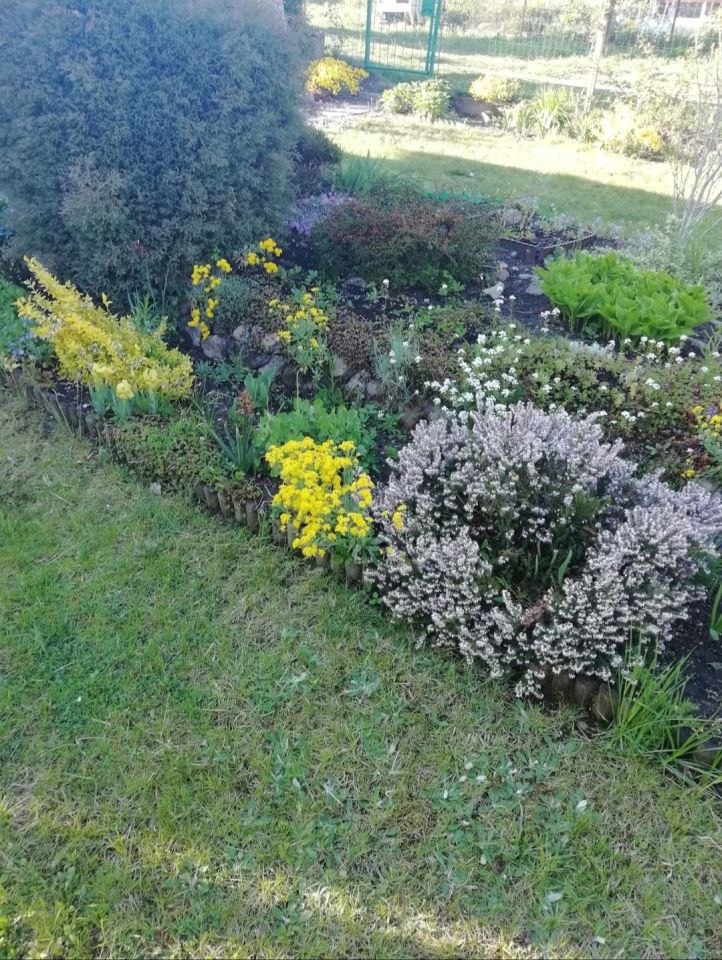 Działka rod Zielona Góra Jędrzychów. Zdjęcie 3