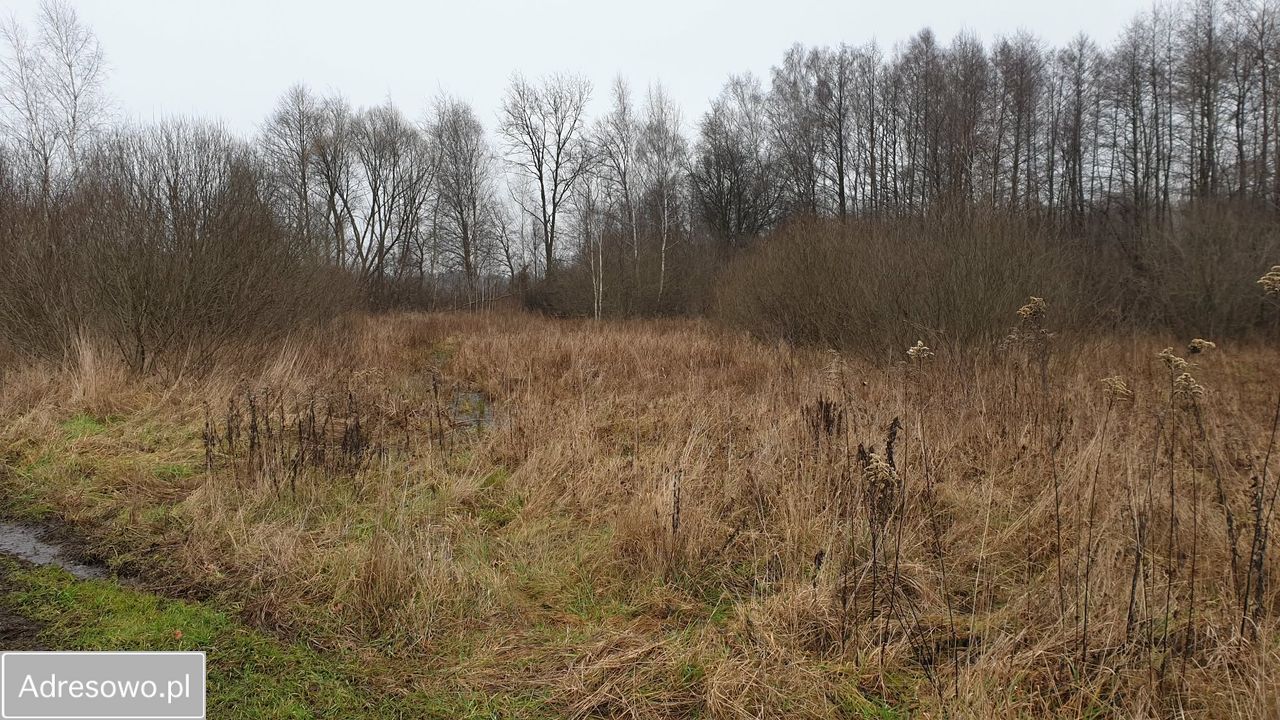 Działka rolna Długa Kościelna, ul. Forsycji. Zdjęcie 2