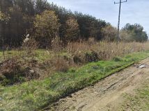 Działka rolno-budowlana Pogorzelec. Zdjęcie 3