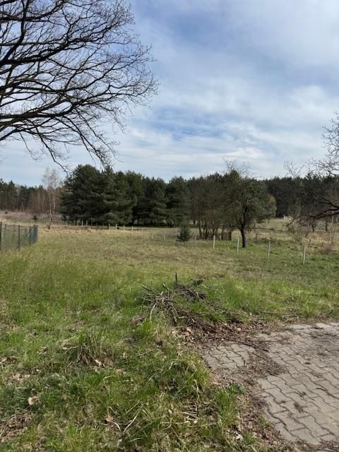 Działka rolno-budowlana Gola Wielka. Zdjęcie 4